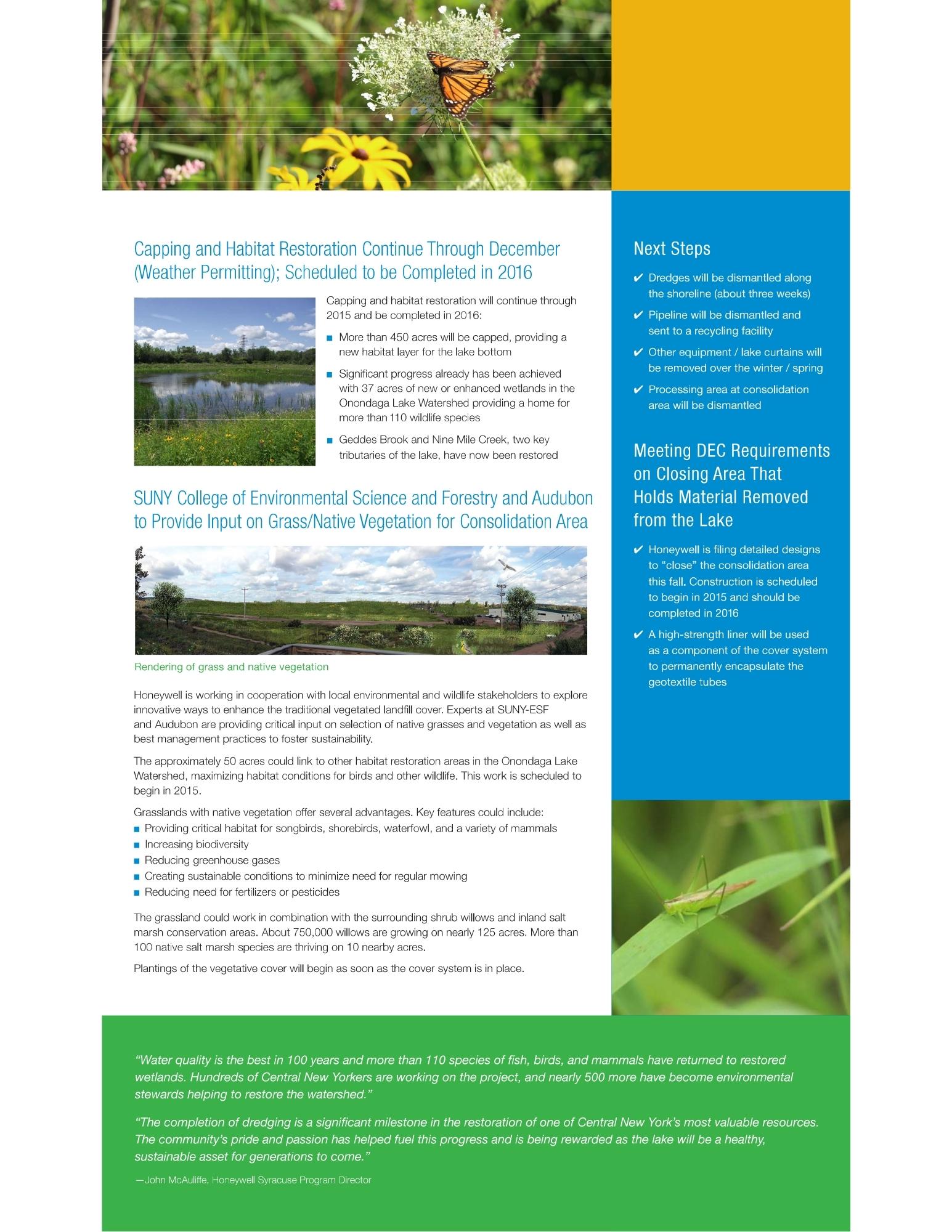 Lake Onondaga cleanup infographic