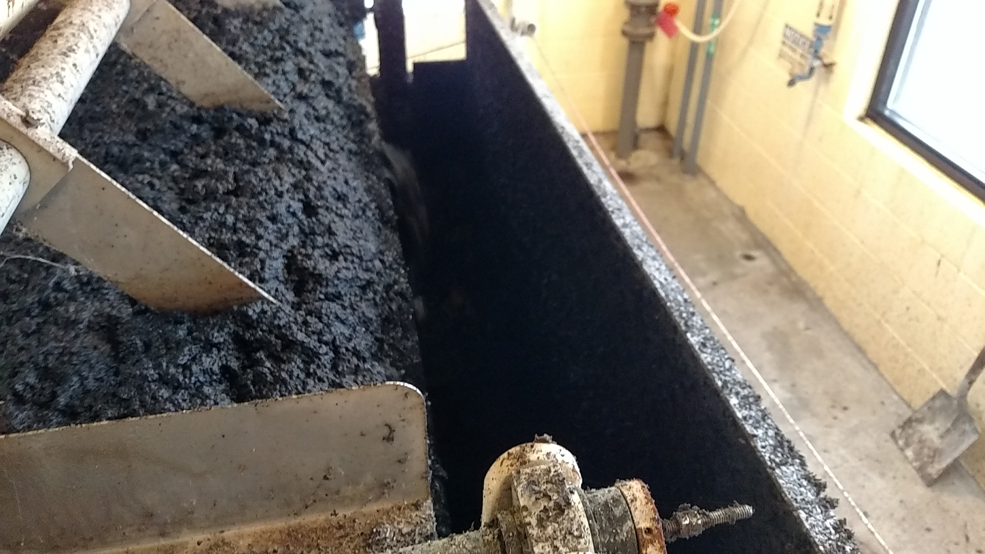 Flocculated sludge from an anaerobic digester falling off the end of a dewatering gravity belt at a municipal wastewater treatment plant.