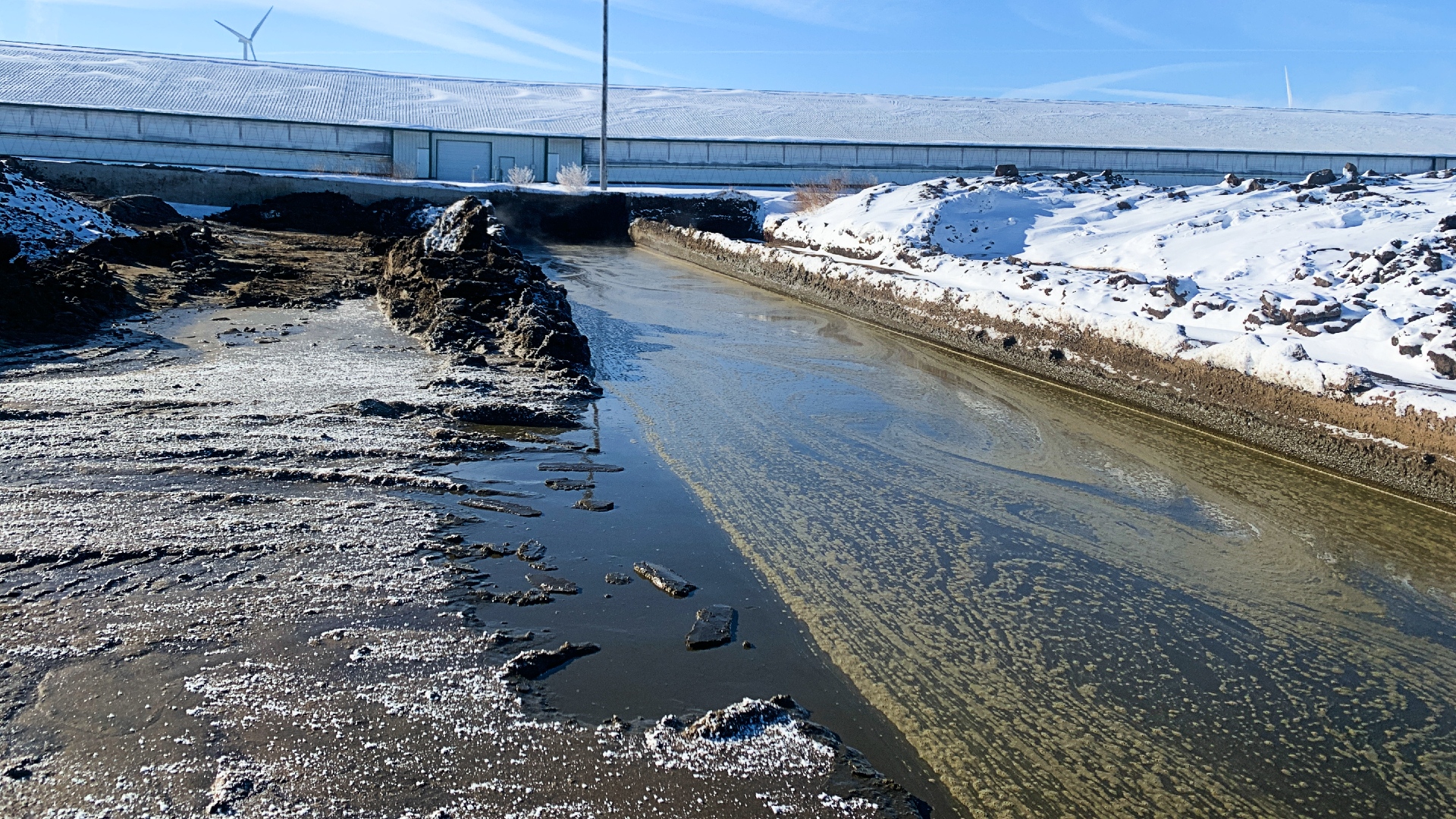 Manure River Liquid manure streaming out of a dairy barn in winter.
