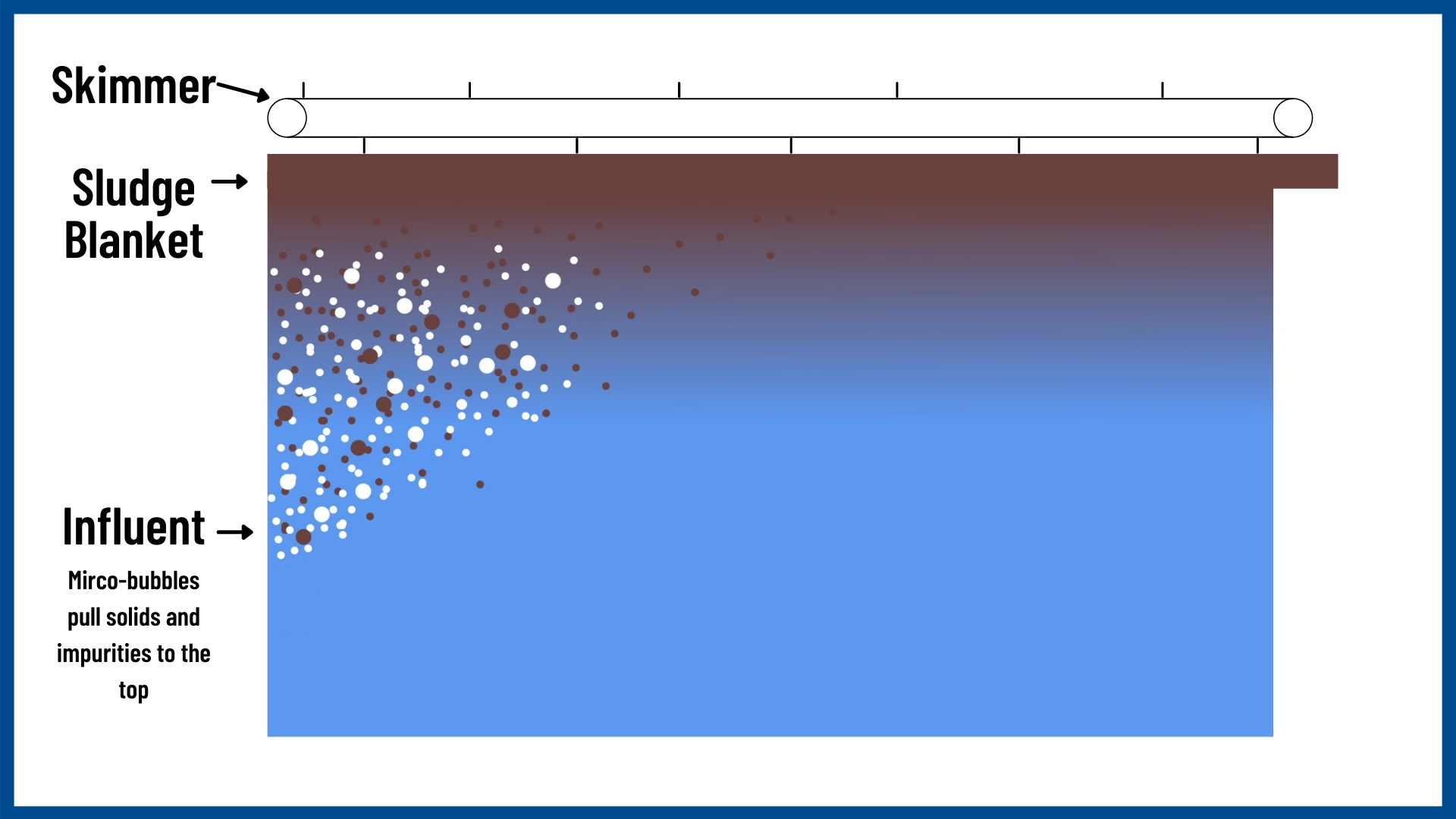 A computer drawing showing bubbles pulling solids to the top of a DAF clarifier with written descriptions on the left side.