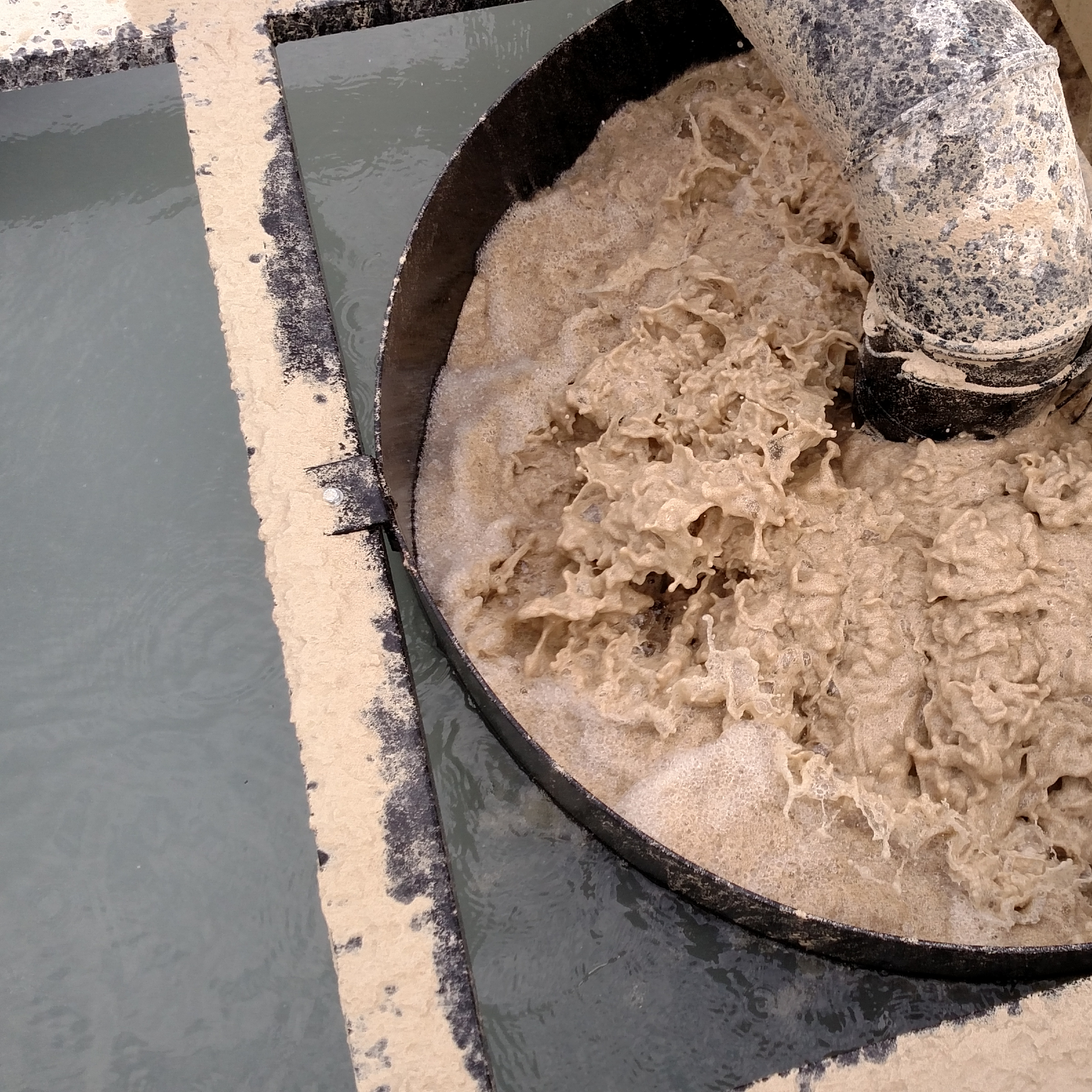 Settling of suspended solids